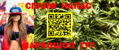 гашик Нягань