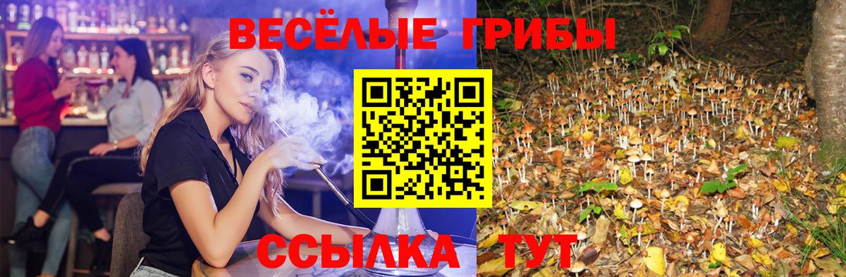Галлюциногенные грибы мицелий Сегежа